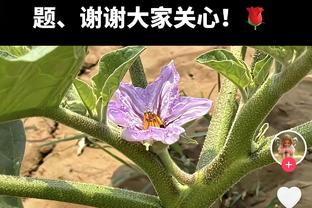 里程碑！泰厄斯-琼斯生涯总得分突破4000分大关